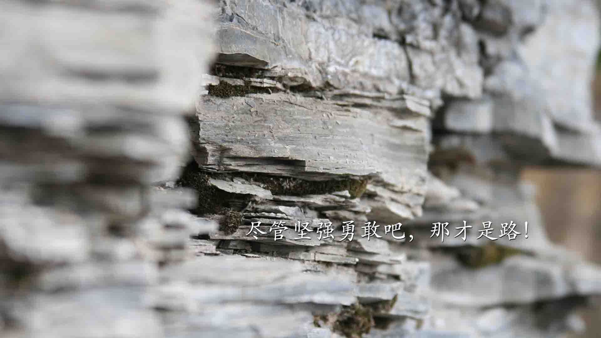 科隆高压逼抢改变比赛走势，科隆 2021