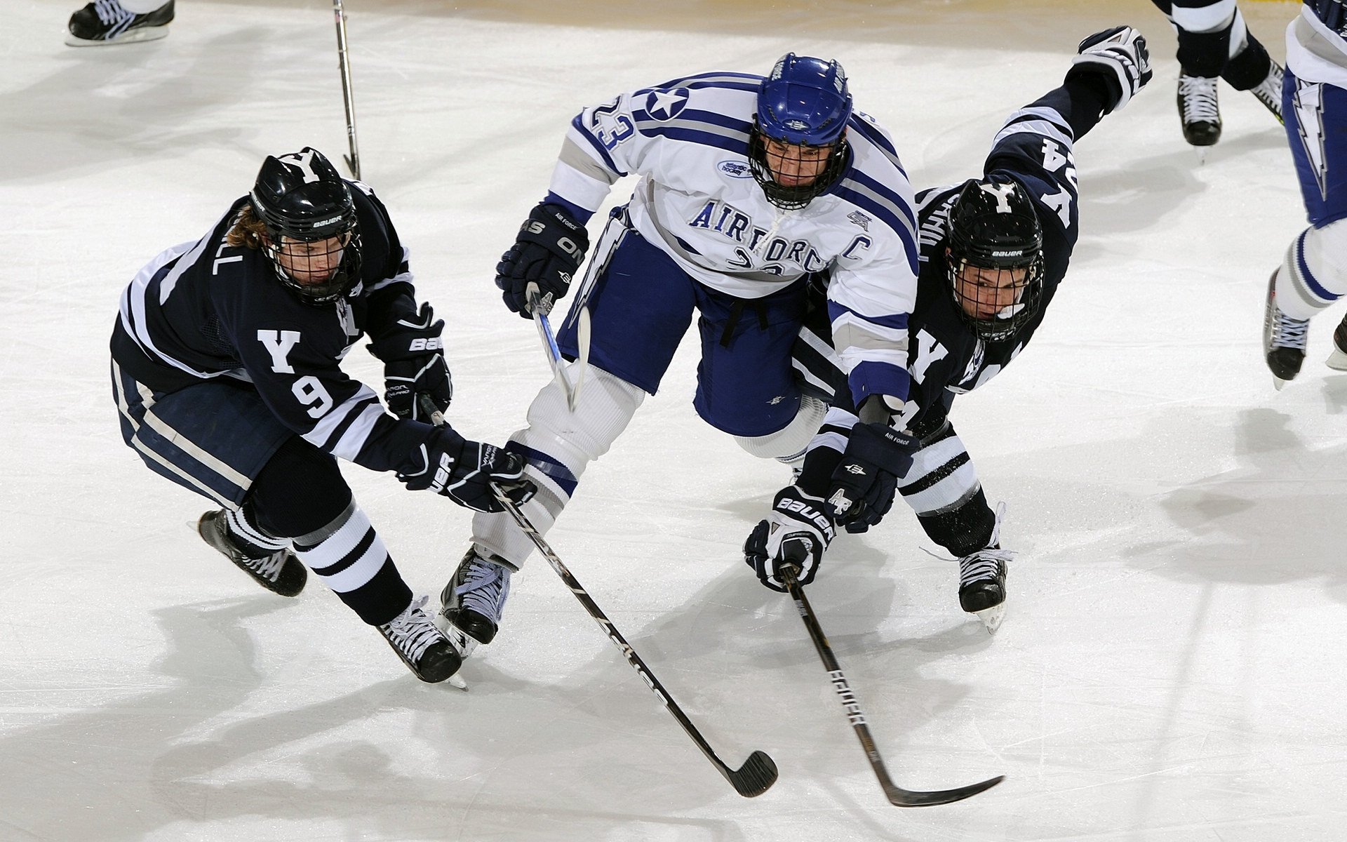 体育明星公益活动广泛开展，关于体育的公益项目